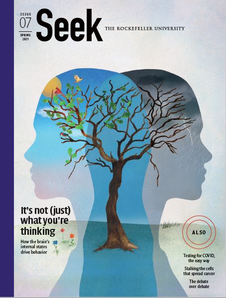 Seek Cover: Issue 01 Spring 2017